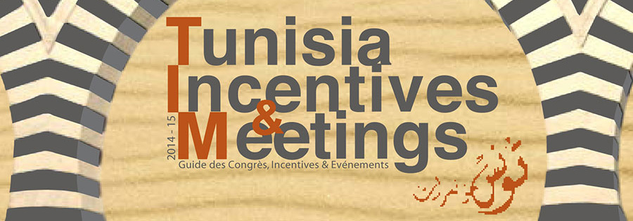 tim-incentives-business-congres-meetings-réunion-salle-hotel-team-building